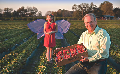Wish Farms